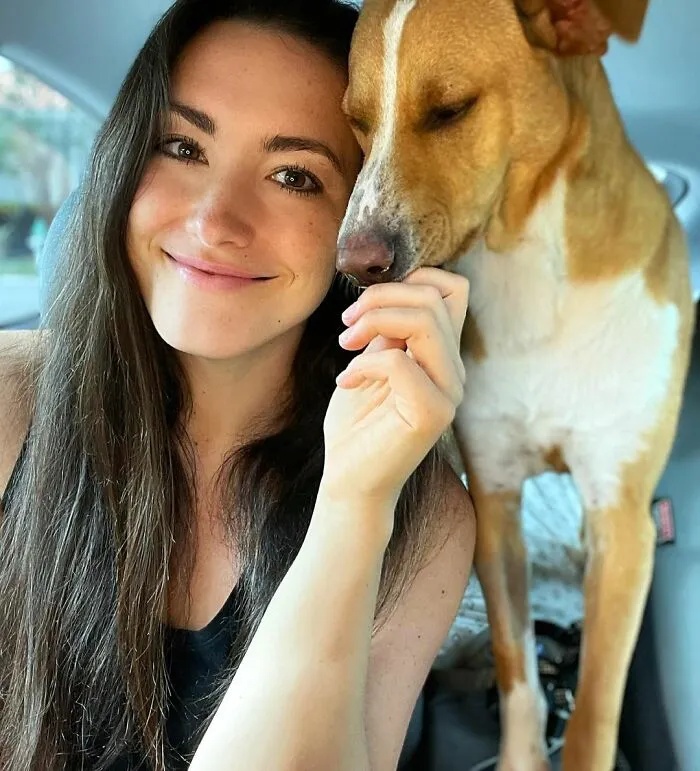 Este perro callejero siguió a esta chica mientras estaba de excursión, y al final lo adoptó (21 fotos)