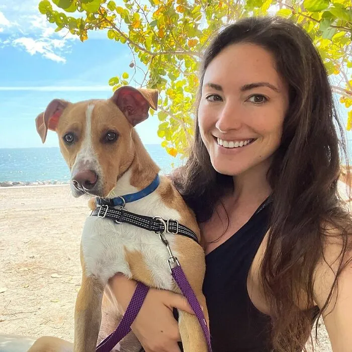 Este perro callejero siguió a esta chica mientras estaba de excursión, y al final lo adoptó (21 fotos)