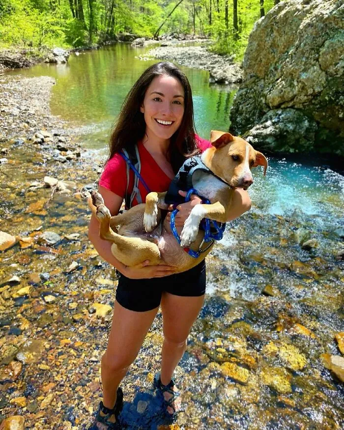 Este perro callejero siguió a esta chica mientras estaba de excursión, y al final lo adoptó (21 fotos)