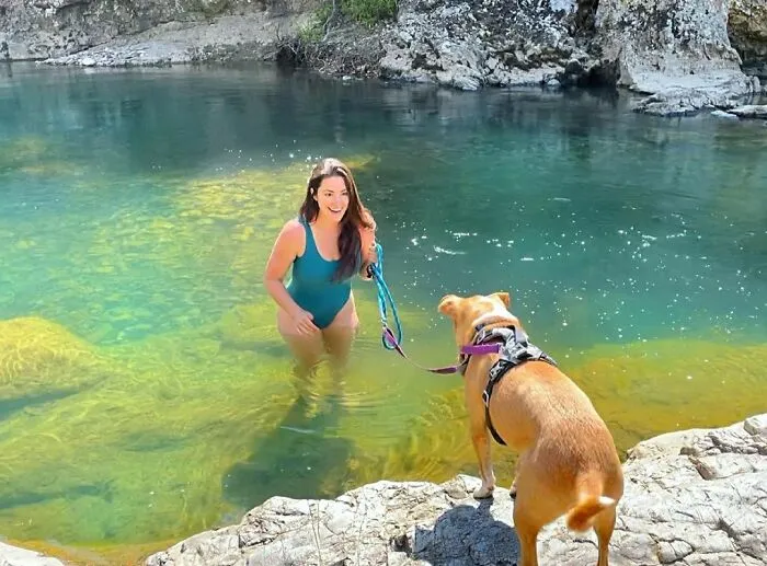 Este perro callejero siguió a esta chica mientras estaba de excursión, y al final lo adoptó (21 fotos)
