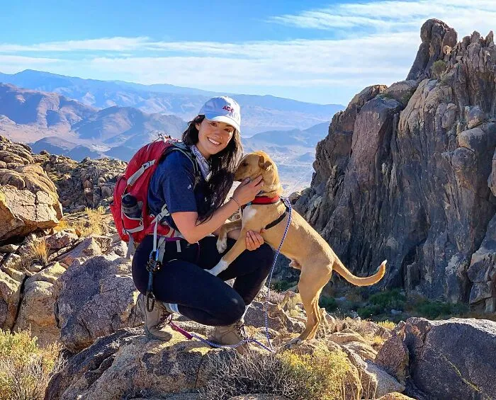 Este perro callejero siguió a esta chica mientras estaba de excursión, y al final lo adoptó (21 fotos)