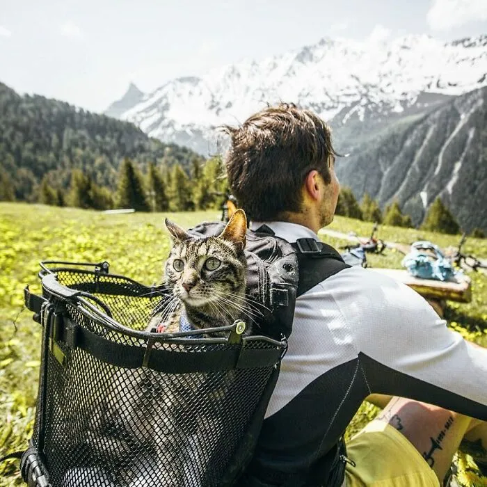 Este hombre lleva a su gato a todas partes y juntos viven grandes aventuras (30 fotos)