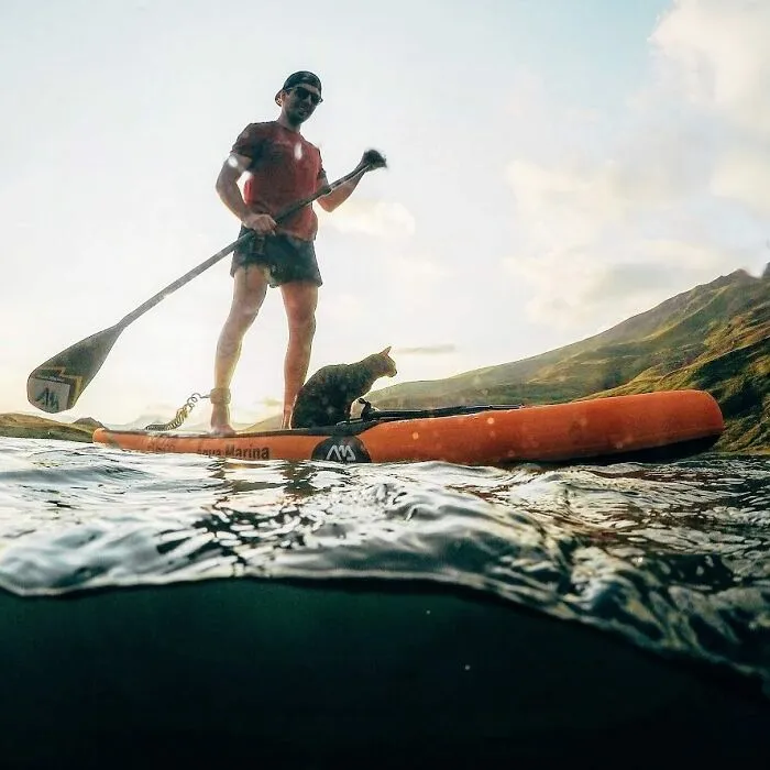 Este hombre lleva a su gato a todas partes y juntos viven grandes aventuras (30 fotos)