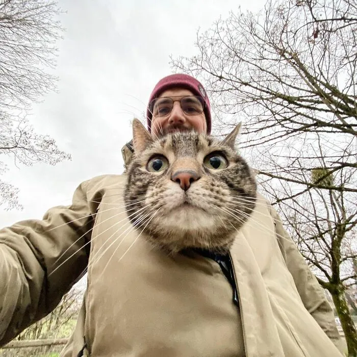 Este hombre lleva a su gato a todas partes y juntos viven grandes aventuras (30 fotos)