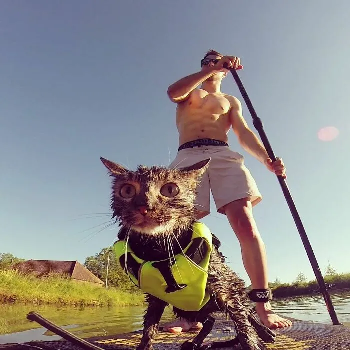 Este hombre lleva a su gato a todas partes y juntos viven grandes aventuras (30 fotos)
