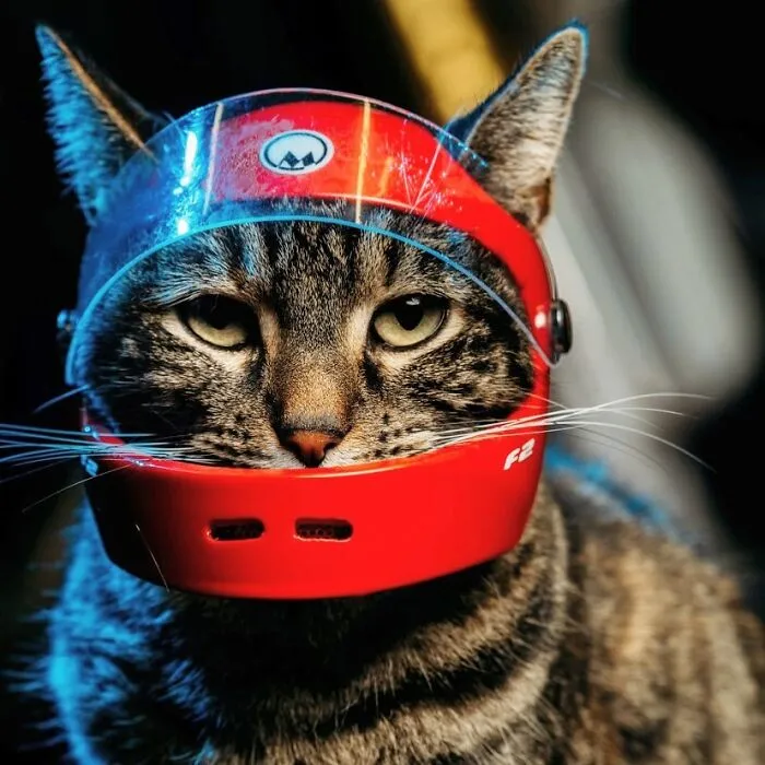 Owner Brings His Cat Everywhere And They Go On All Kinds Of Crazy Adventures Together (30 Pics)