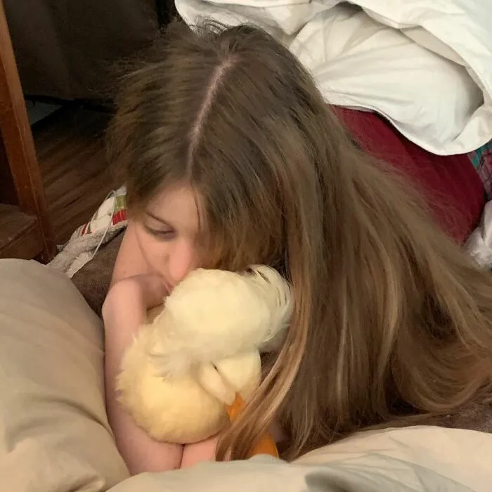 Here Are 30 Pics Of Gertrude, The Duck That Is Famous For Her "Hair"