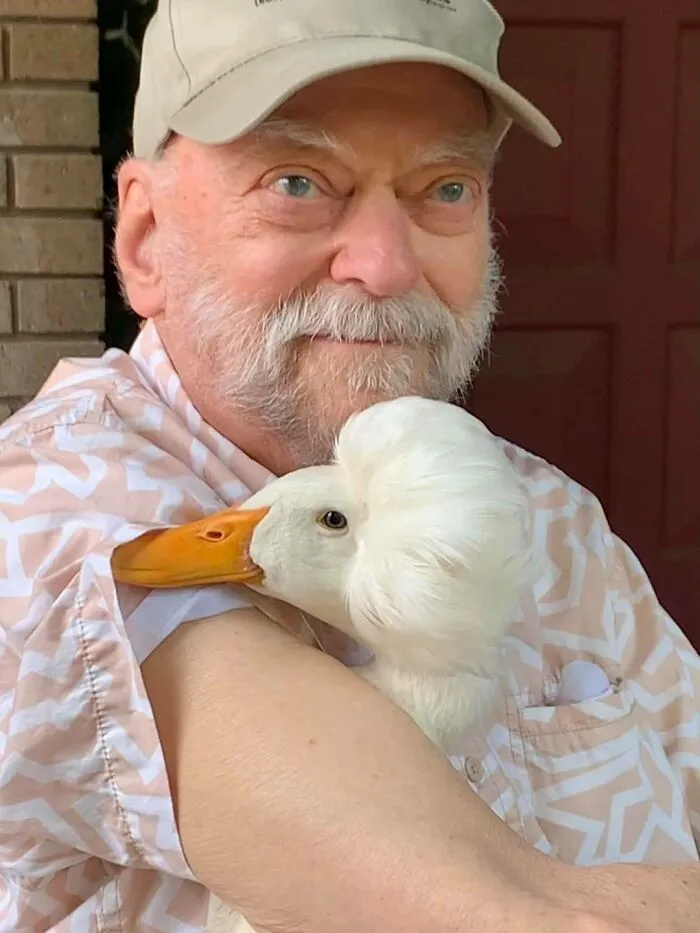 Here Are 30 Pics Of Gertrude, The Duck That Is Famous For Her "Hair"