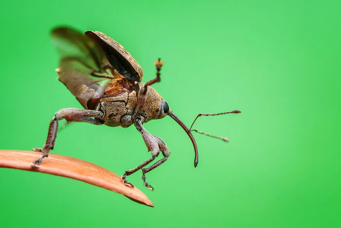 "3… 2… 1… Takeoff!" By Christian Brockes
