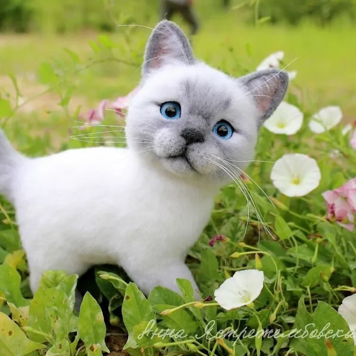 Artist Makes Hyper-Realistic Wool Animal Sculptures Through Needle Felting (46 New Pics)
