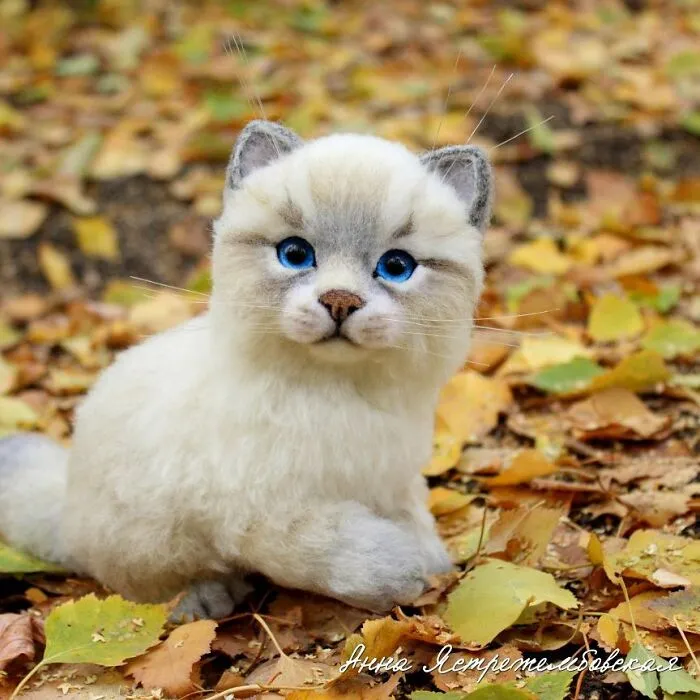 Artist Makes Hyper-Realistic Wool Animal Sculptures Through Needle Felting (46 New Pics)