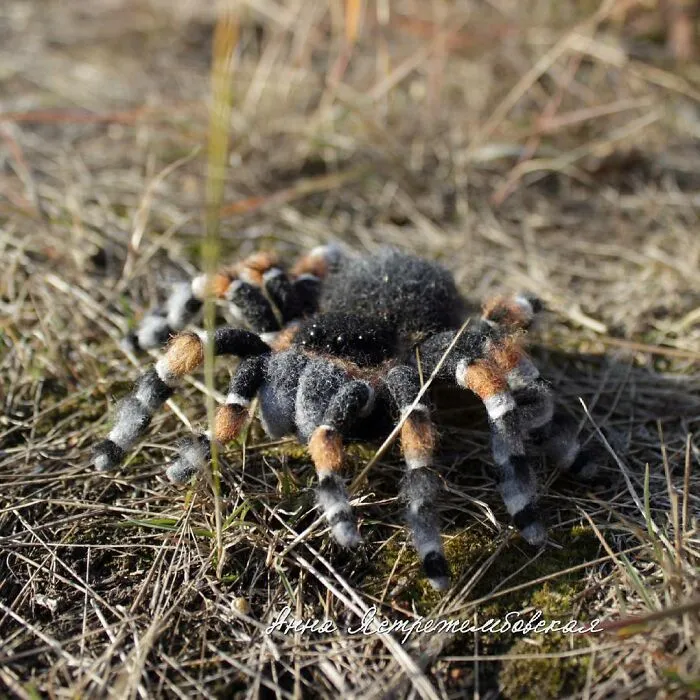 Artist Makes Hyper-Realistic Wool Animal Sculptures Through Needle Felting (46 New Pics)