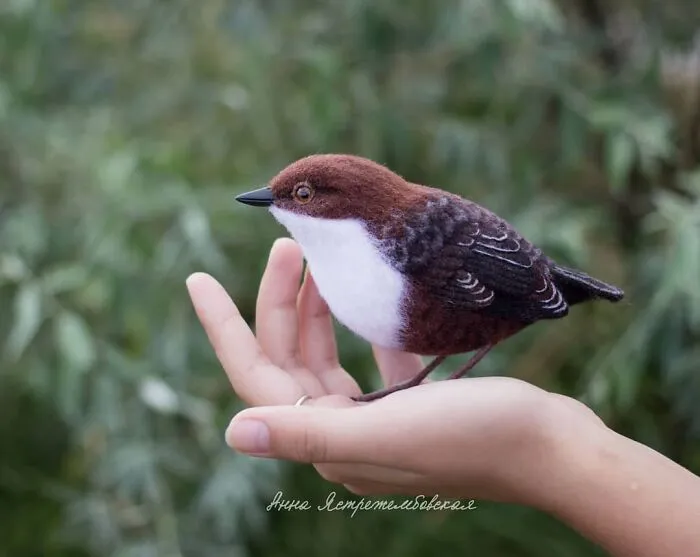 Artist Makes Hyper-Realistic Wool Animal Sculptures Through Needle Felting (46 New Pics)