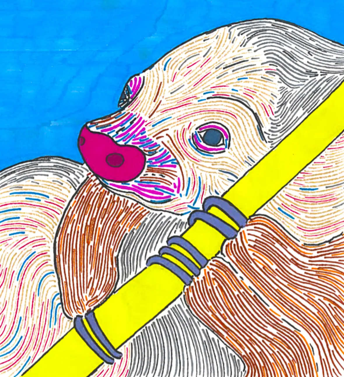 I Draw Animals And Share Them With You!