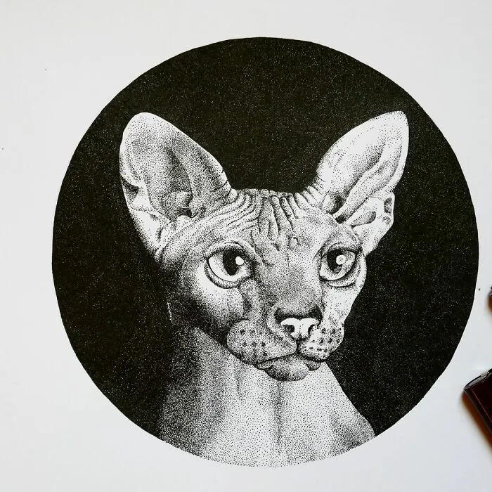 My 30 Stippling Drawings That Are Composed Of Millions Of Dots
