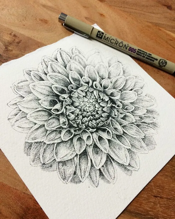 My 30 Stippling Drawings That Are Composed Of Millions Of Dots
