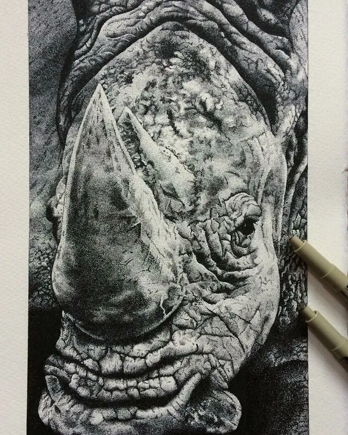 My 30 Stippling Drawings That Are Composed Of Millions Of Dots