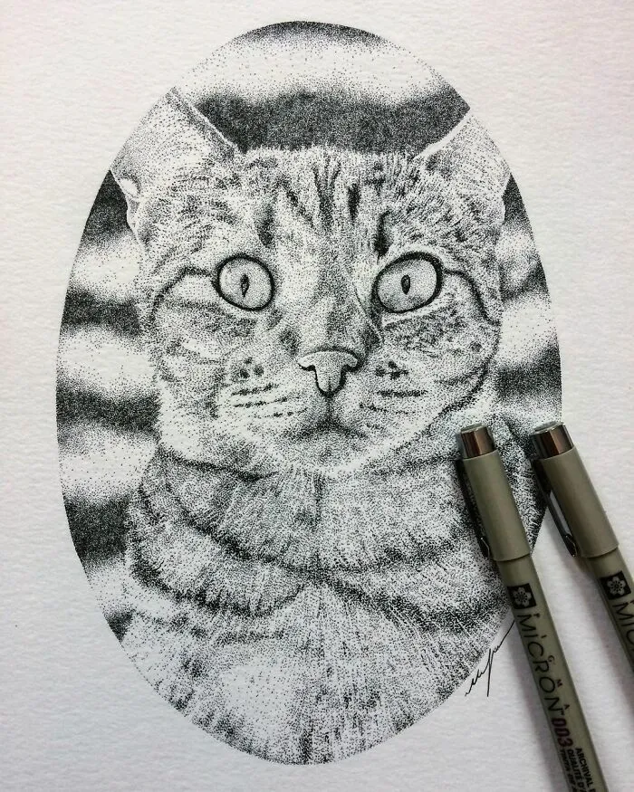 My 30 Stippling Drawings That Are Composed Of Millions Of Dots