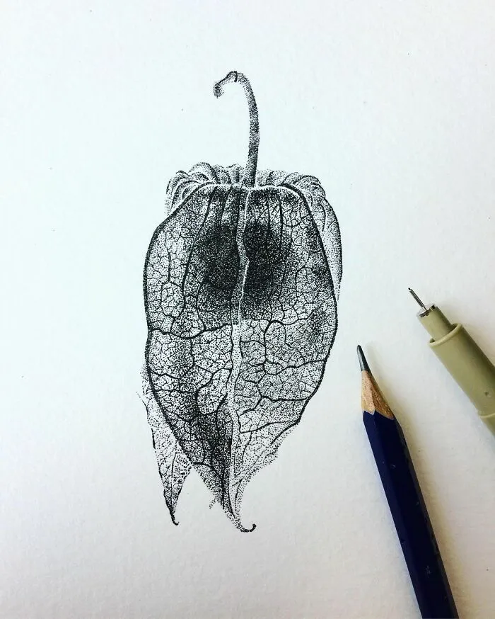 My 30 Stippling Drawings That Are Composed Of Millions Of Dots