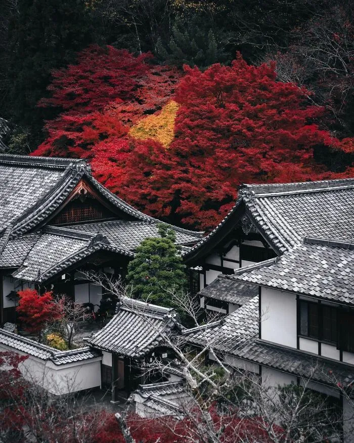 Las 30 fotos más impresionantes de Ryosuke Kosuge que nos muestran la vida diaria en Asia