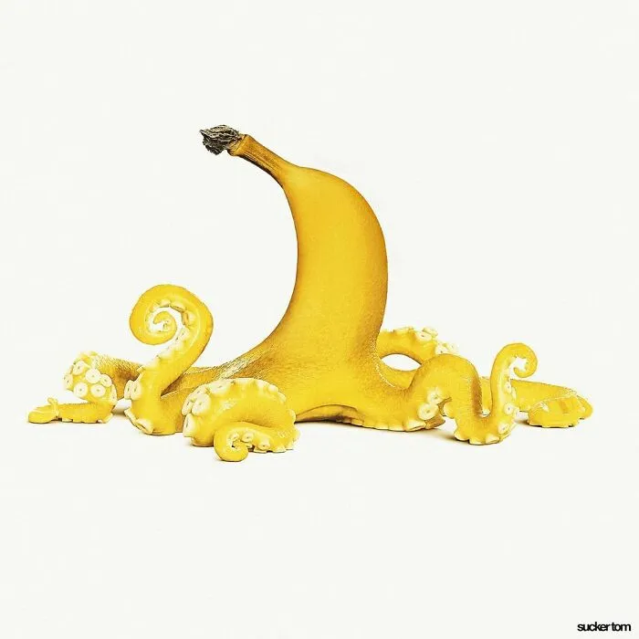 67 Silly And Funny Edits By Suckertom