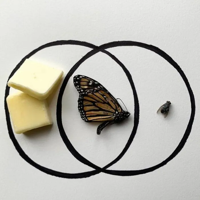 Artist Uses Insects To Make Fun And Quirky Cartoons, Here Are Her Best 70 Works