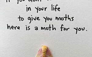 Artist Uses Insects To Make Fun And Quirky Cartoons, Here Are Her Best 70 Works