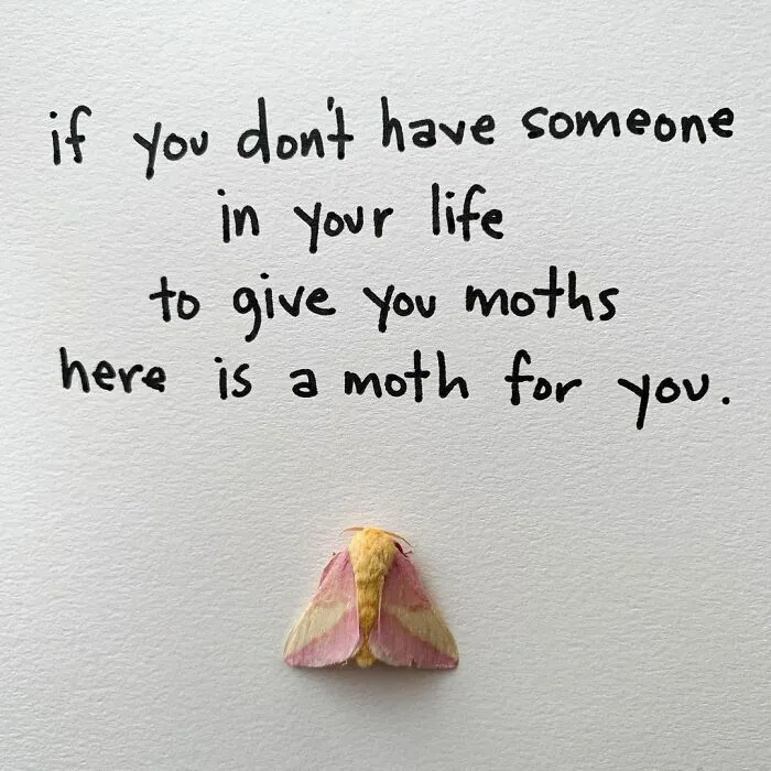 This Artist Makes Art With Dead Insects And 178,000 Instagram Followers Approve