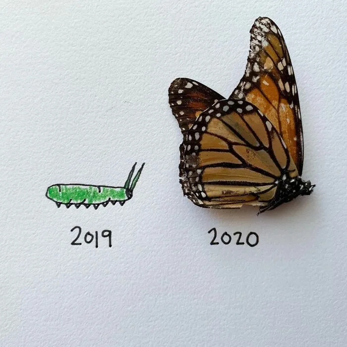 Artist Uses Insects To Make Fun And Quirky Cartoons, Here Are Her Best 70 Works