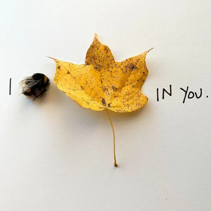 Artist Uses Insects To Make Fun And Quirky Cartoons, Here Are Her Best 70 Works
