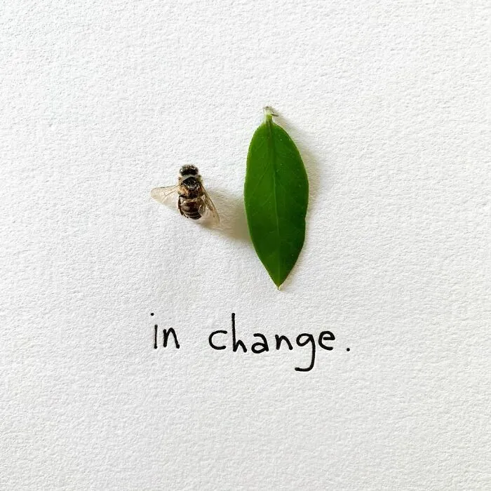 Artist Uses Insects To Make Fun And Quirky Cartoons, Here Are Her Best 70 Works
