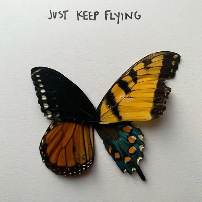 Artist Uses Insects To Make Fun And Quirky Cartoons, Here Are Her Best 70 Works