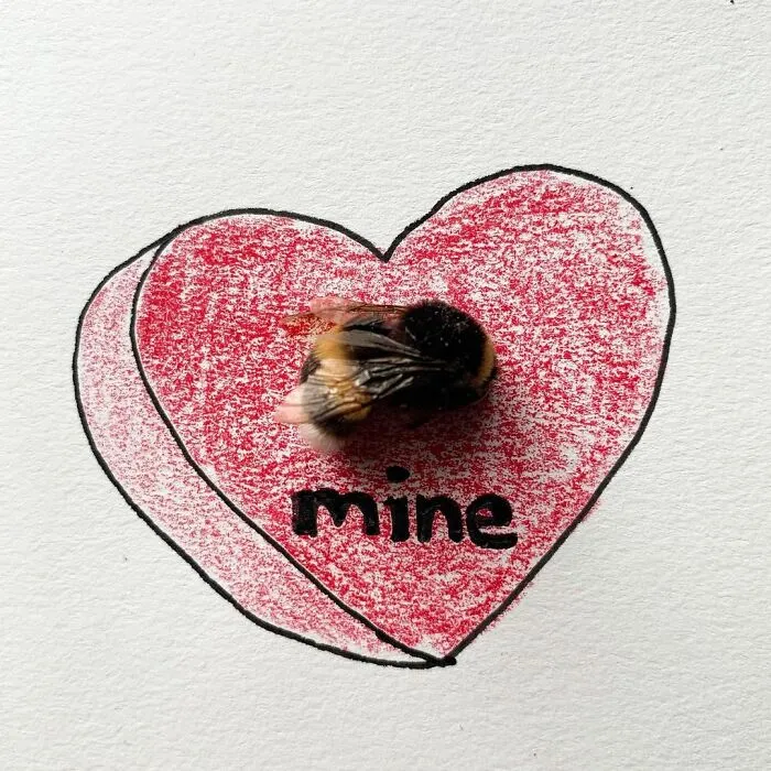 Artist Uses Insects To Make Fun And Quirky Cartoons, Here Are Her Best 70 Works