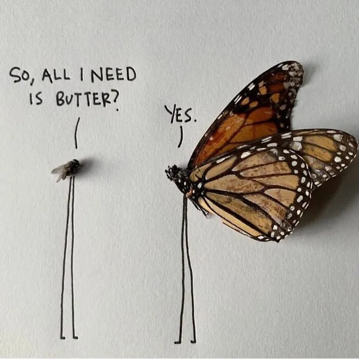 Artist Uses Insects To Make Fun And Quirky Cartoons, Here Are Her Best 70 Works