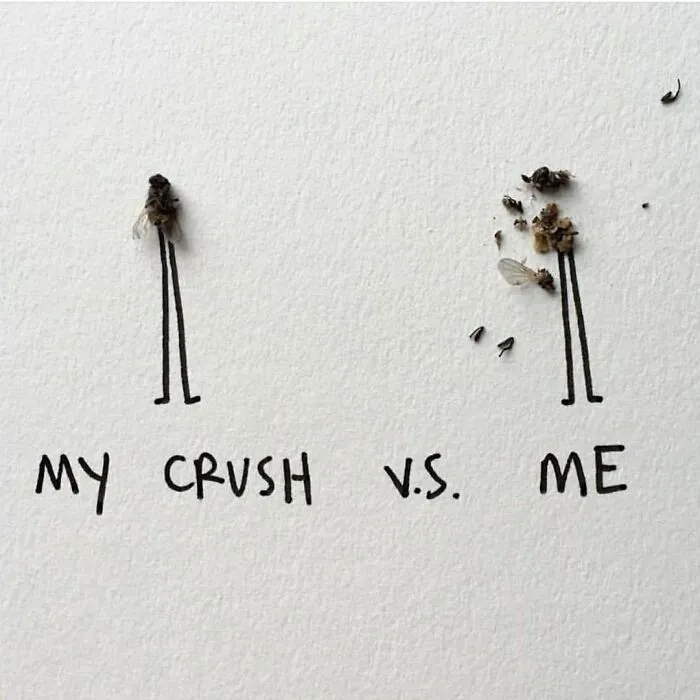Artist Uses Insects To Make Fun And Quirky Cartoons, Here Are Her Best 70 Works