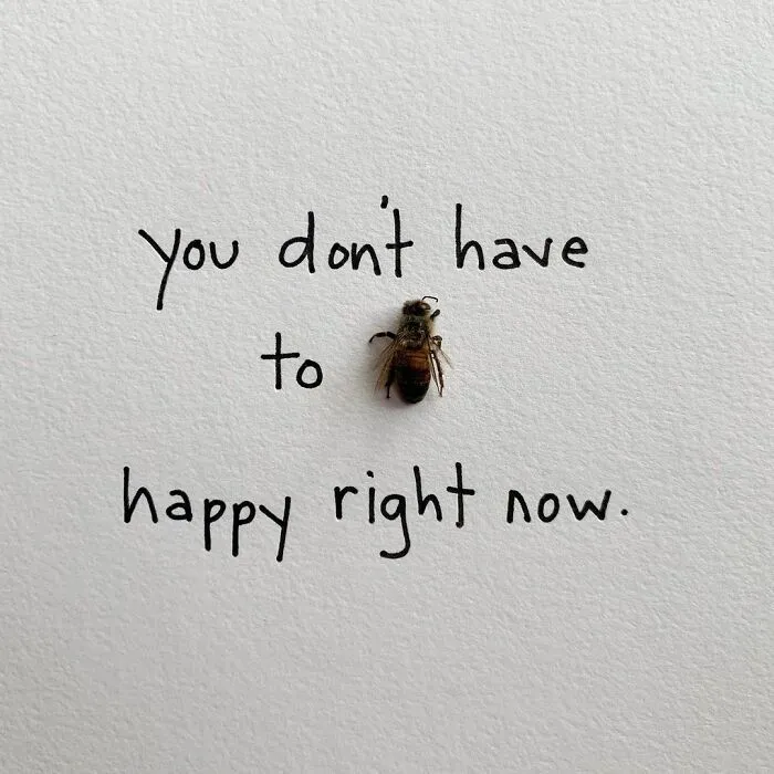 Artist Uses Insects To Make Fun And Quirky Cartoons, Here Are Her Best 70 Works