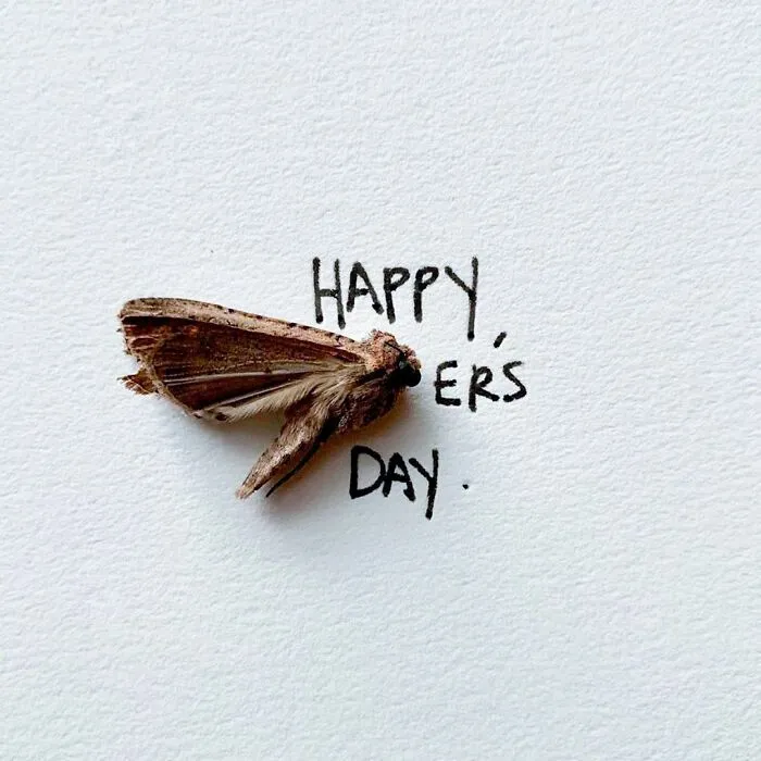 Artist Uses Insects To Make Fun And Quirky Cartoons, Here Are Her Best 70 Works