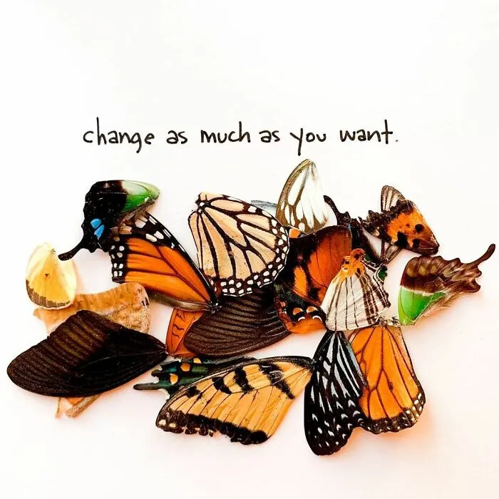Artist Uses Insects To Make Fun And Quirky Cartoons, Here Are Her Best 70 Works
