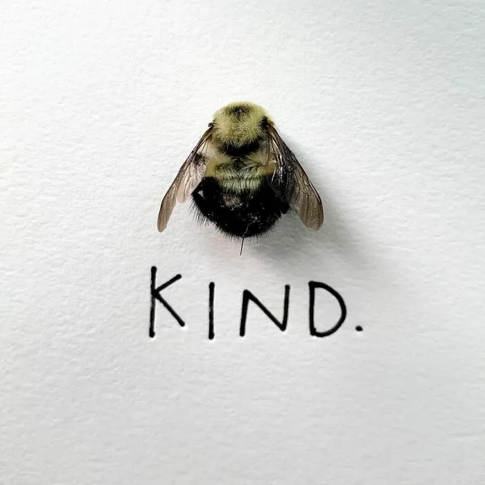 Artist Uses Insects To Make Fun And Quirky Cartoons, Here Are Her Best 70 Works