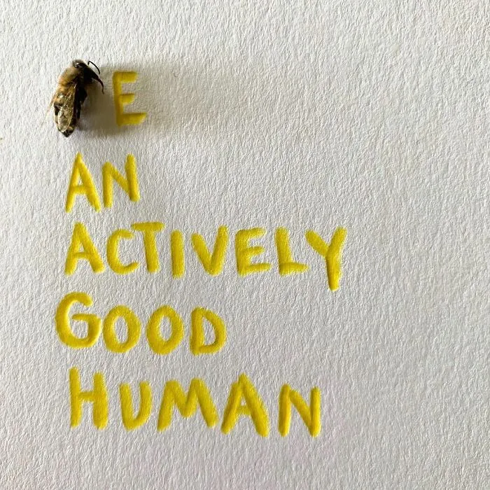 Artist Uses Insects To Make Fun And Quirky Cartoons, Here Are Her Best 70 Works