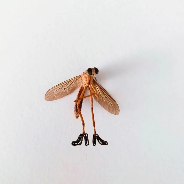 Artist Uses Insects To Make Fun And Quirky Cartoons, Here Are Her Best 70 Works