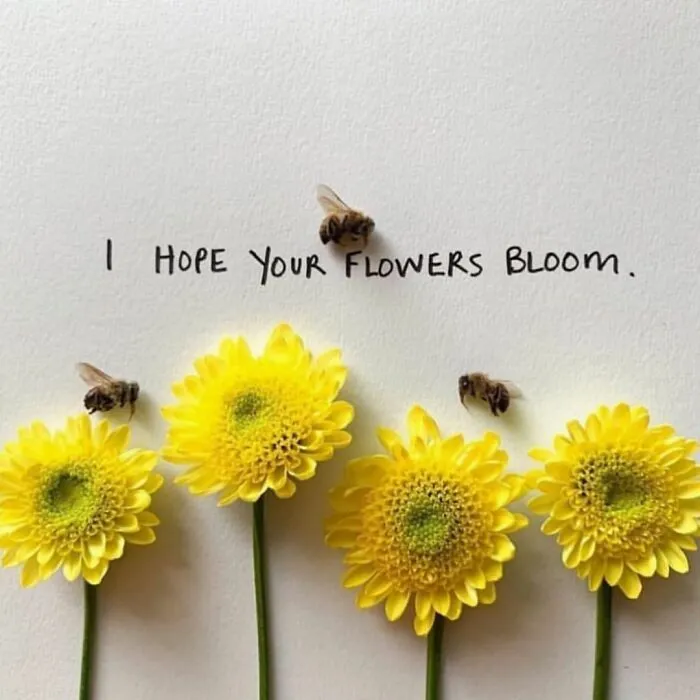 Artist Uses Insects To Make Fun And Quirky Cartoons, Here Are Her Best 70 Works