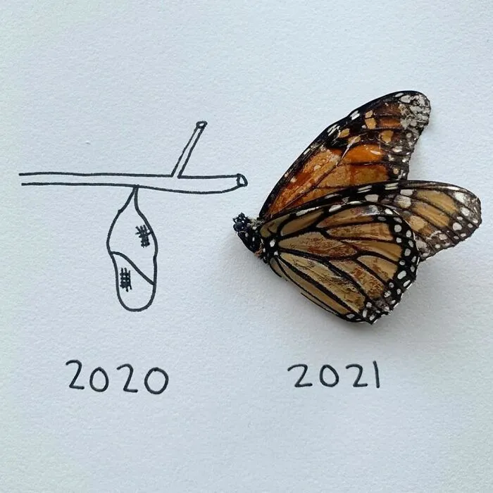 Artist Uses Insects To Make Fun And Quirky Cartoons, Here Are Her Best 70 Works