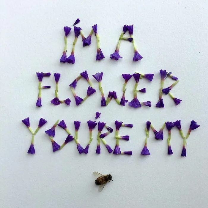 Artist Uses Insects To Make Fun And Quirky Cartoons, Here Are Her Best 70 Works