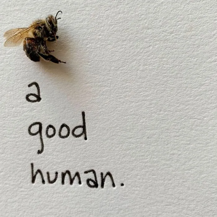 Artist Uses Insects To Make Fun And Quirky Cartoons, Here Are Her Best 70 Works