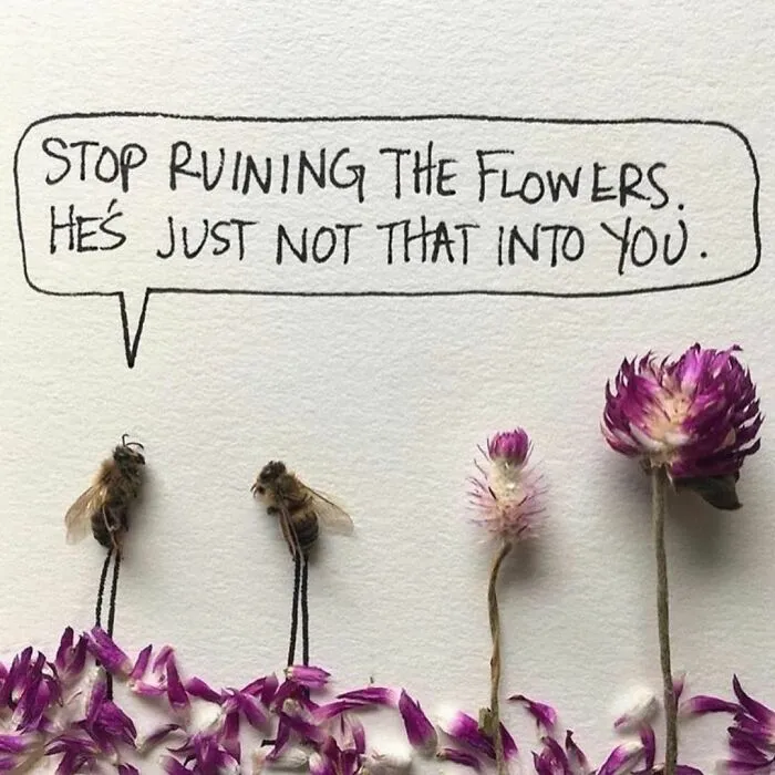 Artist Uses Insects To Make Fun And Quirky Cartoons, Here Are Her Best 70 Works