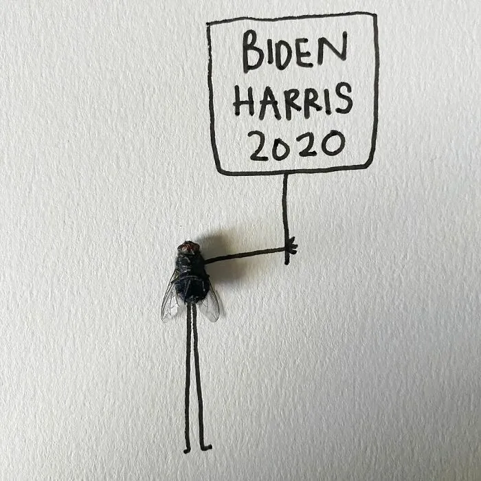 Artist Uses Insects To Make Fun And Quirky Cartoons, Here Are Her Best 70 Works