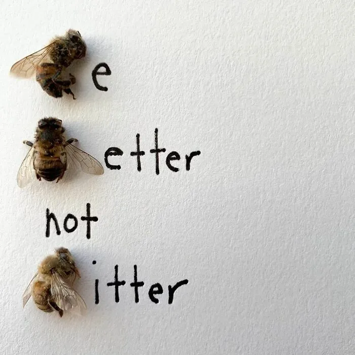 Artist Uses Insects To Make Fun And Quirky Cartoons, Here Are Her Best 70 Works