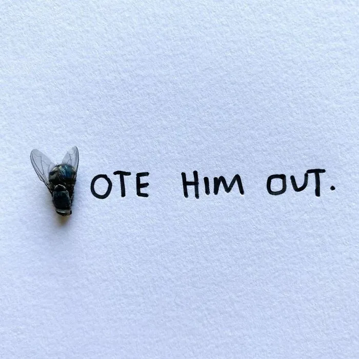 Artist Uses Insects To Make Fun And Quirky Cartoons, Here Are Her Best 70 Works