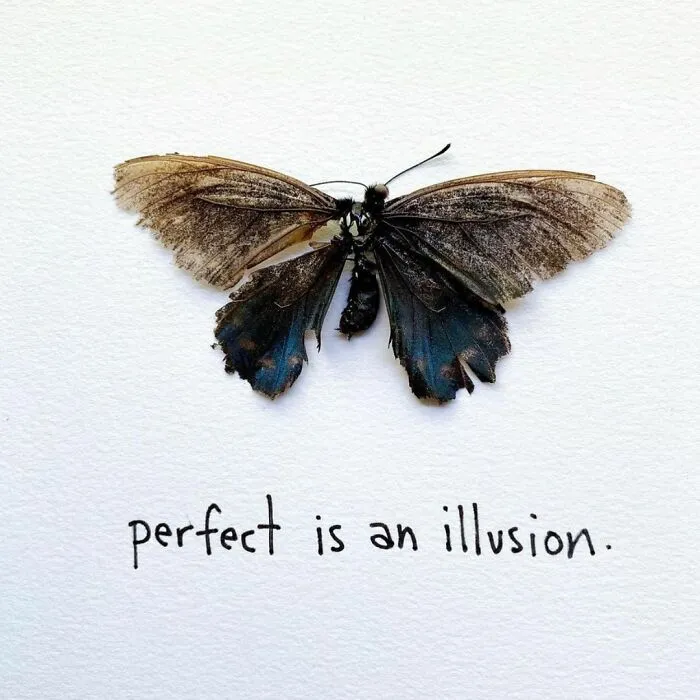 Artist Uses Insects To Make Fun And Quirky Cartoons, Here Are Her Best 70 Works
